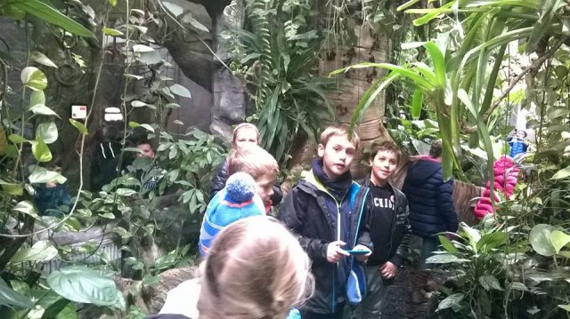 zoo 20